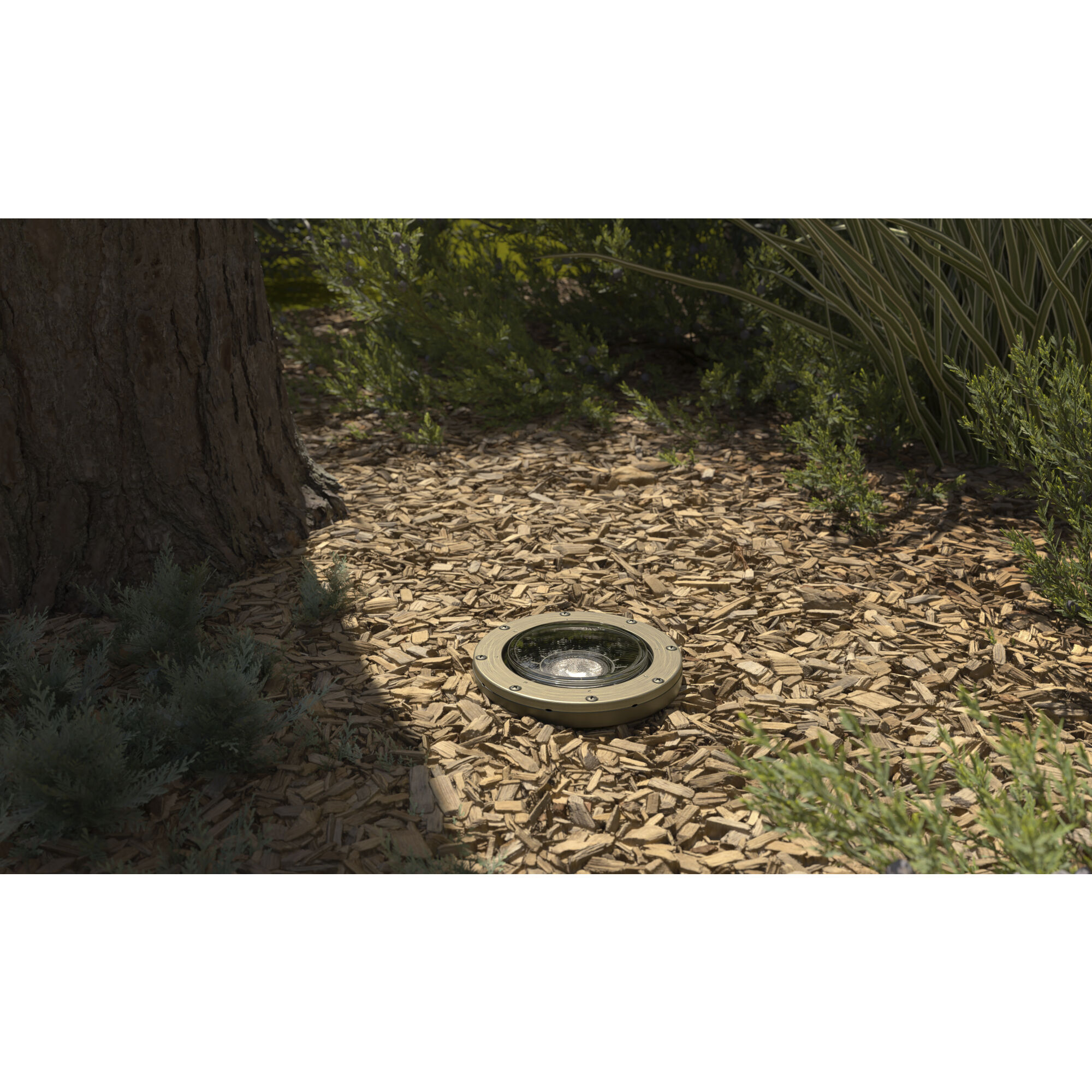 Landscape LED 12 17.00 watt Centennial Brass Landscape 12V LED Inground