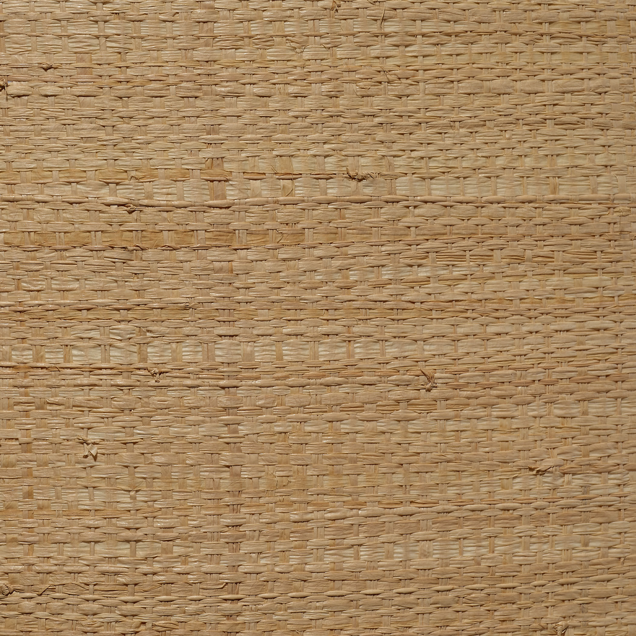 Drum Natural Raffia 16.5 inch Shade in Classic, Classic