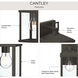 Cantley 1 Light 10.25 inch Antique Bronze Outdoor Wall Lantern