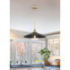 Segan 1 Light 20 inch Coal & Soft Brass (Painted) Pendant Ceiling Light, Outdoor