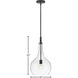 Ziggy 1 Light 12 inch Black Indoor Pendant Ceiling Light in Clear
