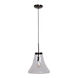 Simplicite 1 Light 12 inch Black Chrome Pendant Ceiling Light in Clear