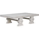 Suzu 70 X 38 inch White Wash Coffee Table