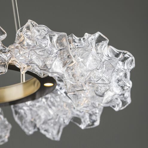 Blossom LED Graphite Chandelier Ceiling Light, Ring