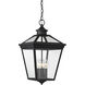 Ellijay 4 Light 12 inch Black Outdoor Hanging Lantern