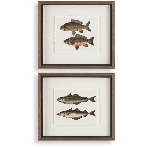 The Catch 20.5 X 18.25 inch Framed Fish Prints, Set of 2