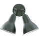 Fort Worth 2 Light 10 inch Black Flood Light