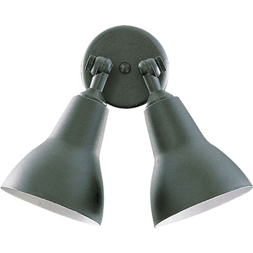 Fort Worth 2 Light 10 inch Black Flood Light