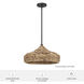 Cambria 1 Light 18 inch Matte Black Pendant Ceiling Light, Large