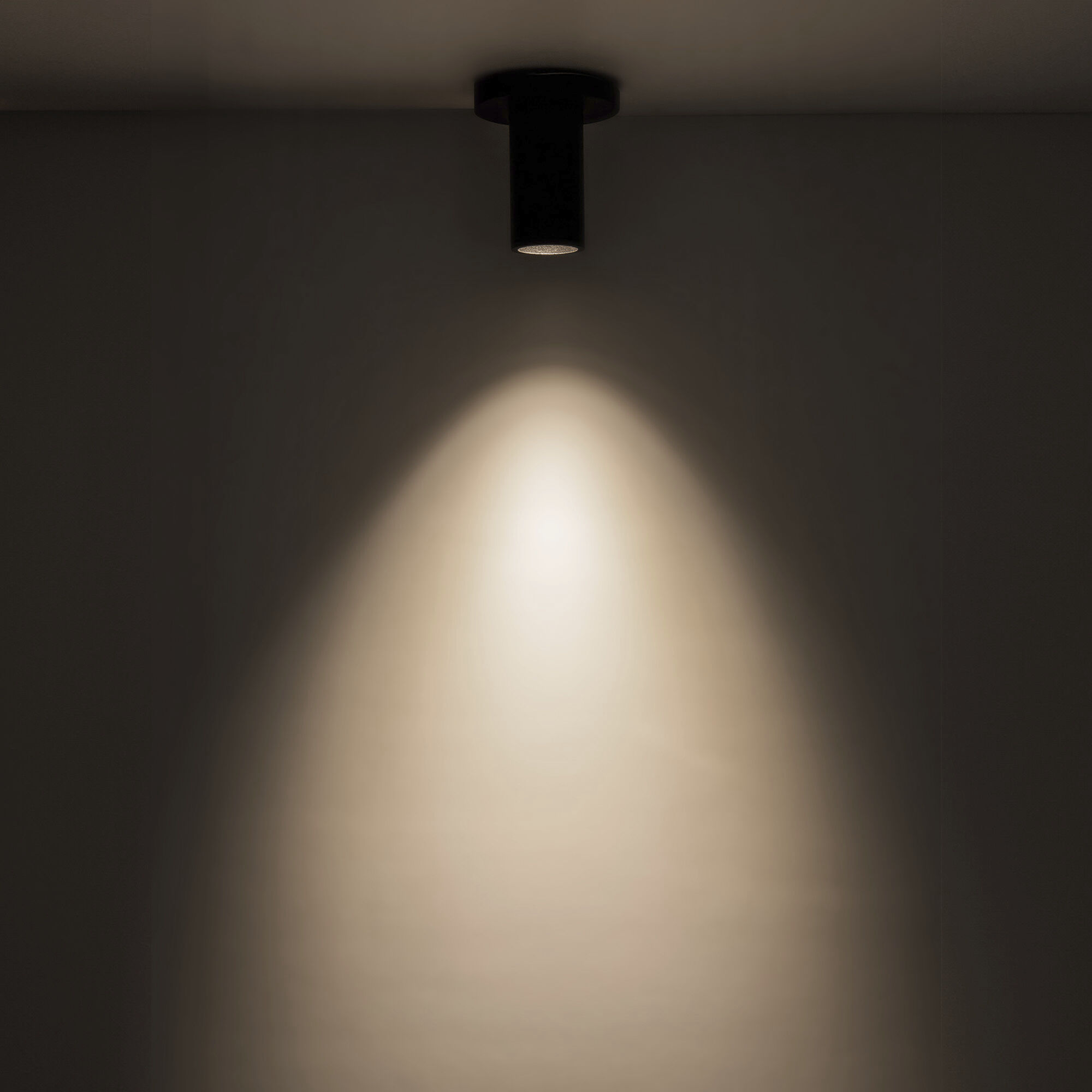 Lorna LED 4.38 inch Black Ceiling Mount Ceiling Light