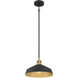 Axlen 1 Light 12 inch Matte Black and Vintage Brass Pendant Ceiling Light