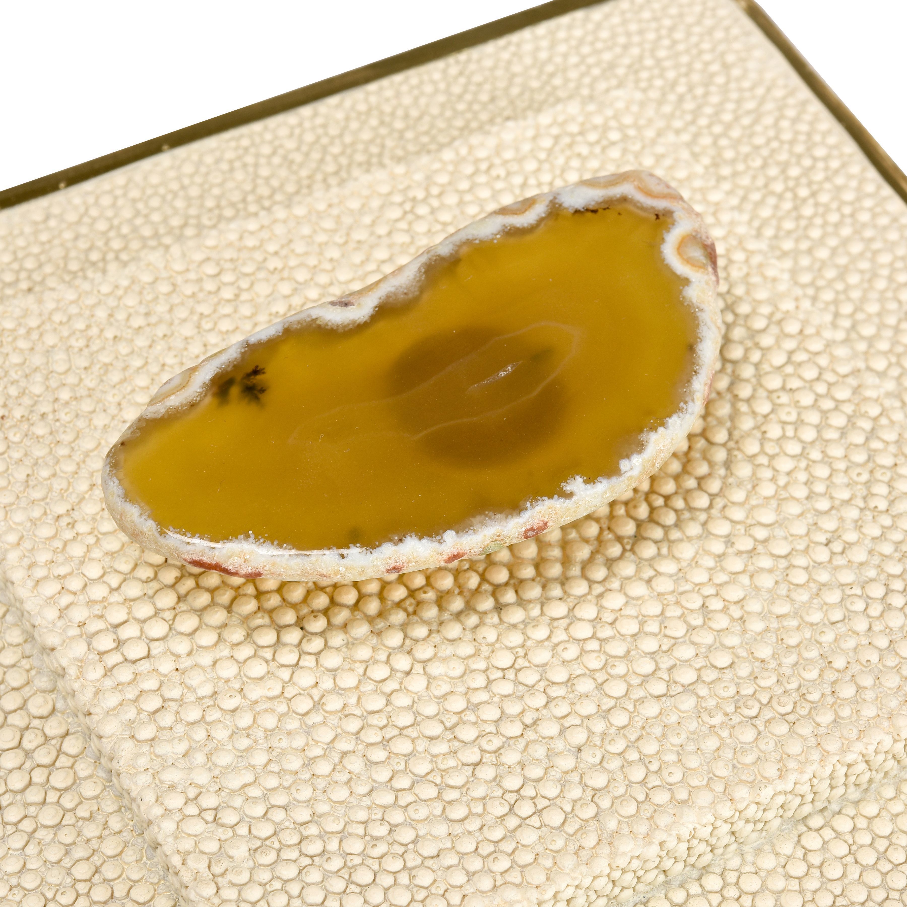 Brenner 5.25 X 5.25 inch Ivory with Brown Box, Set of 2