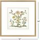 Botanica 22083 Multi and Blue and Green and Yellow Framed Art, The Studio