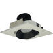 Iolite Black with White Recessed Light in Black / White, 800, 5000K, Square Cone Regress