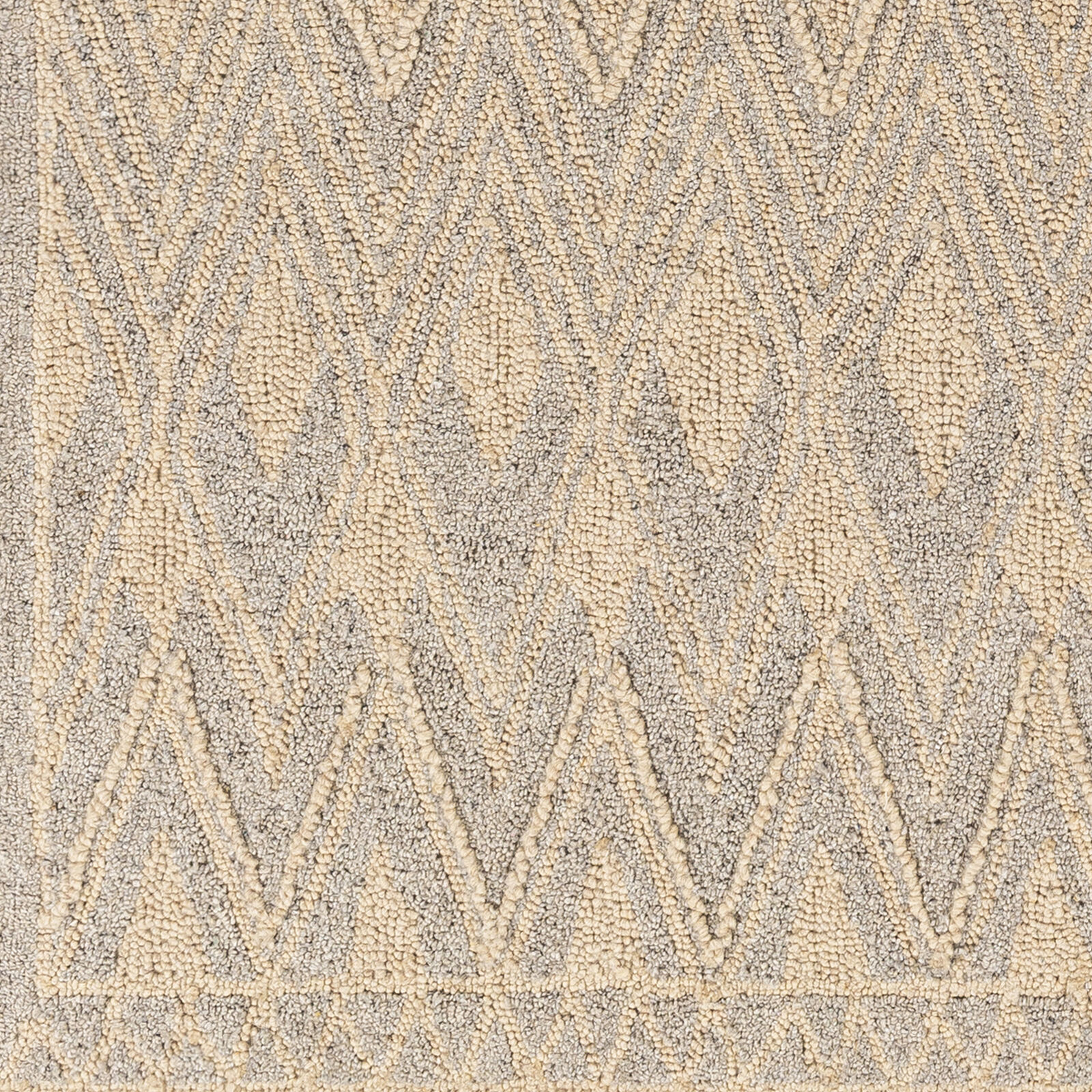 Newcastle 72 X 48 inch Taupe Rug in 4 X 6, Rectangle