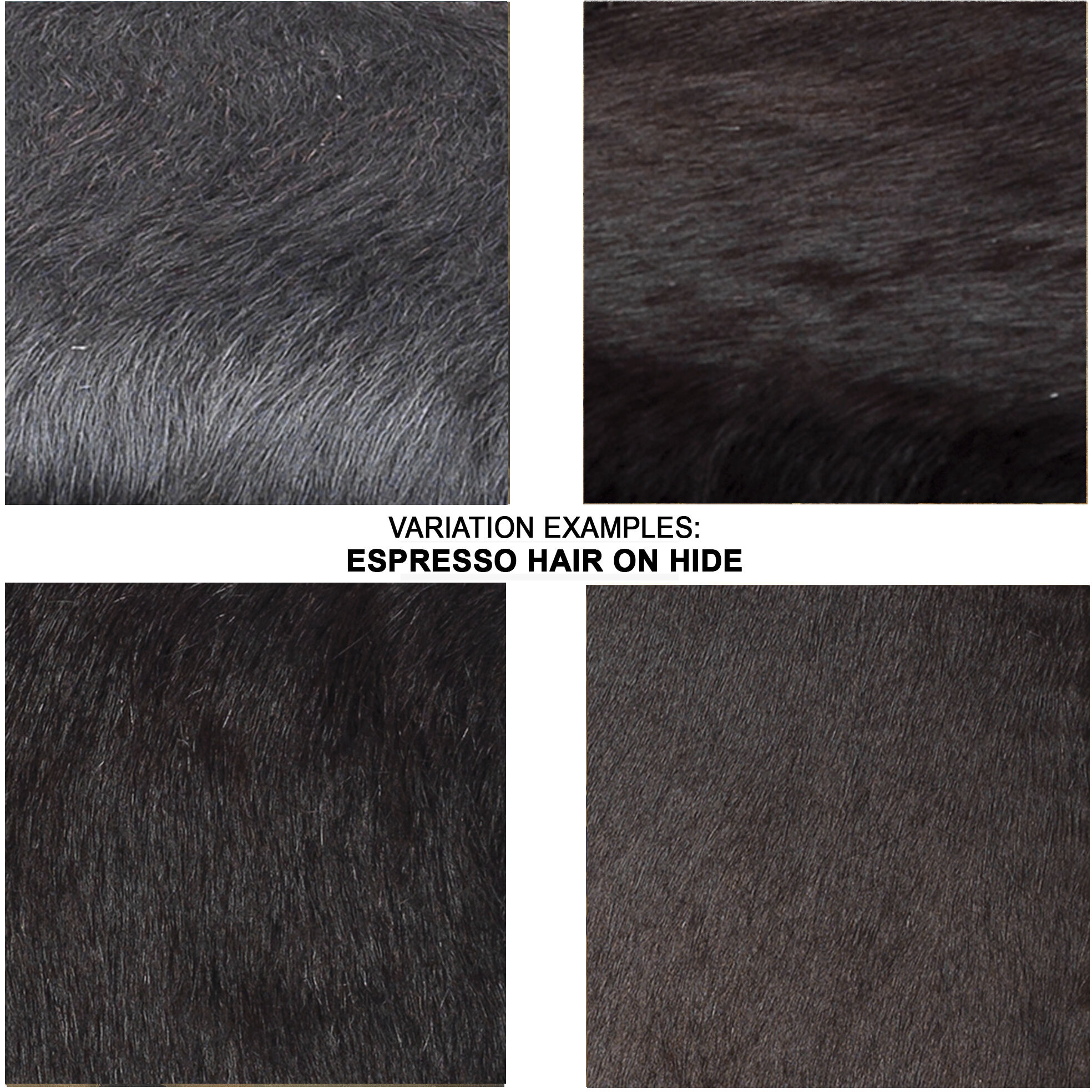 Shelby 33 inch Espresso Hide & Nickel Metal Bar Stool in Espresso Hide and Nickel Metal