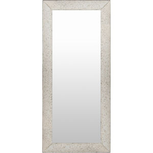Crystalline 44 X 20 inch Light Grey Mirror in Twin, Rectangle