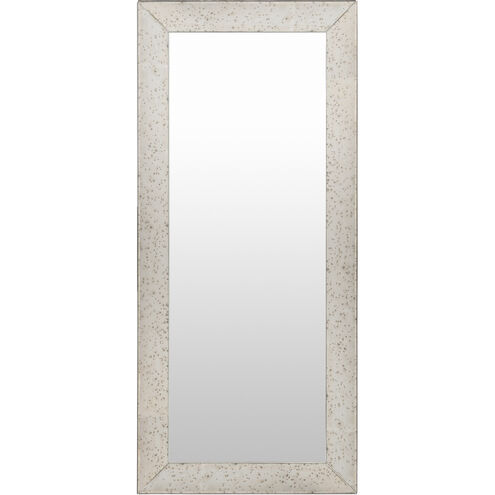 Crystalline 44 X 20 inch Light Grey Mirror in Twin, Rectangle