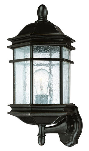 Barlow 1 Light 17 inch Winchester Exterior Wall Lantern