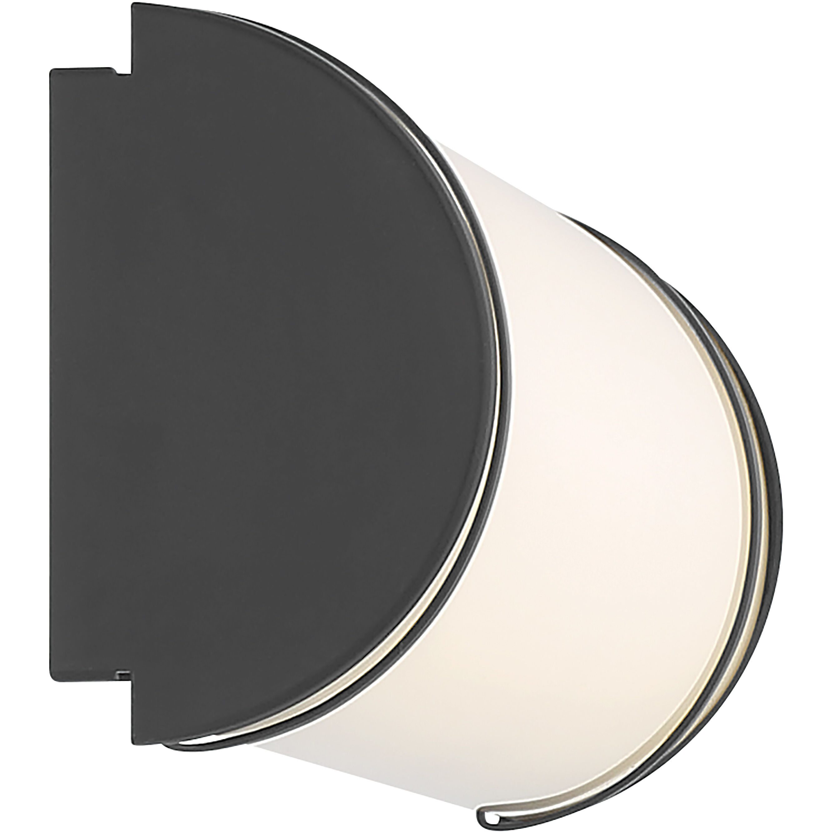 Vantage Vanity LED 24 inch Coal Vanity Light Wall Light