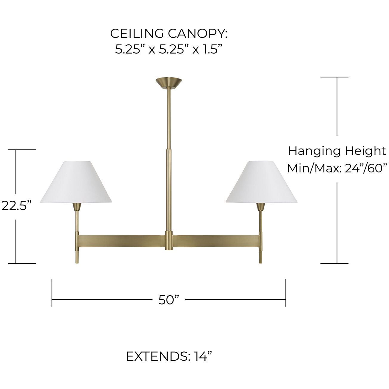 Leland 2 Light 50 inch Aged Brass Island Light Ceiling Light