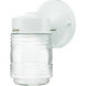 Brentwood 1 Light 9 inch White Outdoor Wall Mount