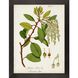 Florals Collection Green Framed Art