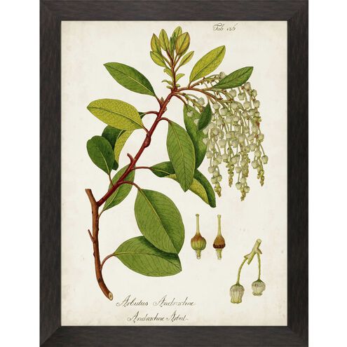 Florals Collection Green Framed Art