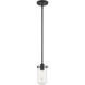 Delaney 1 Light 4.00 inch Pendant