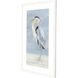 Animals Collection Blue Framed Art