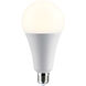 Lumos LED LED Medium 4000K HID Replacements