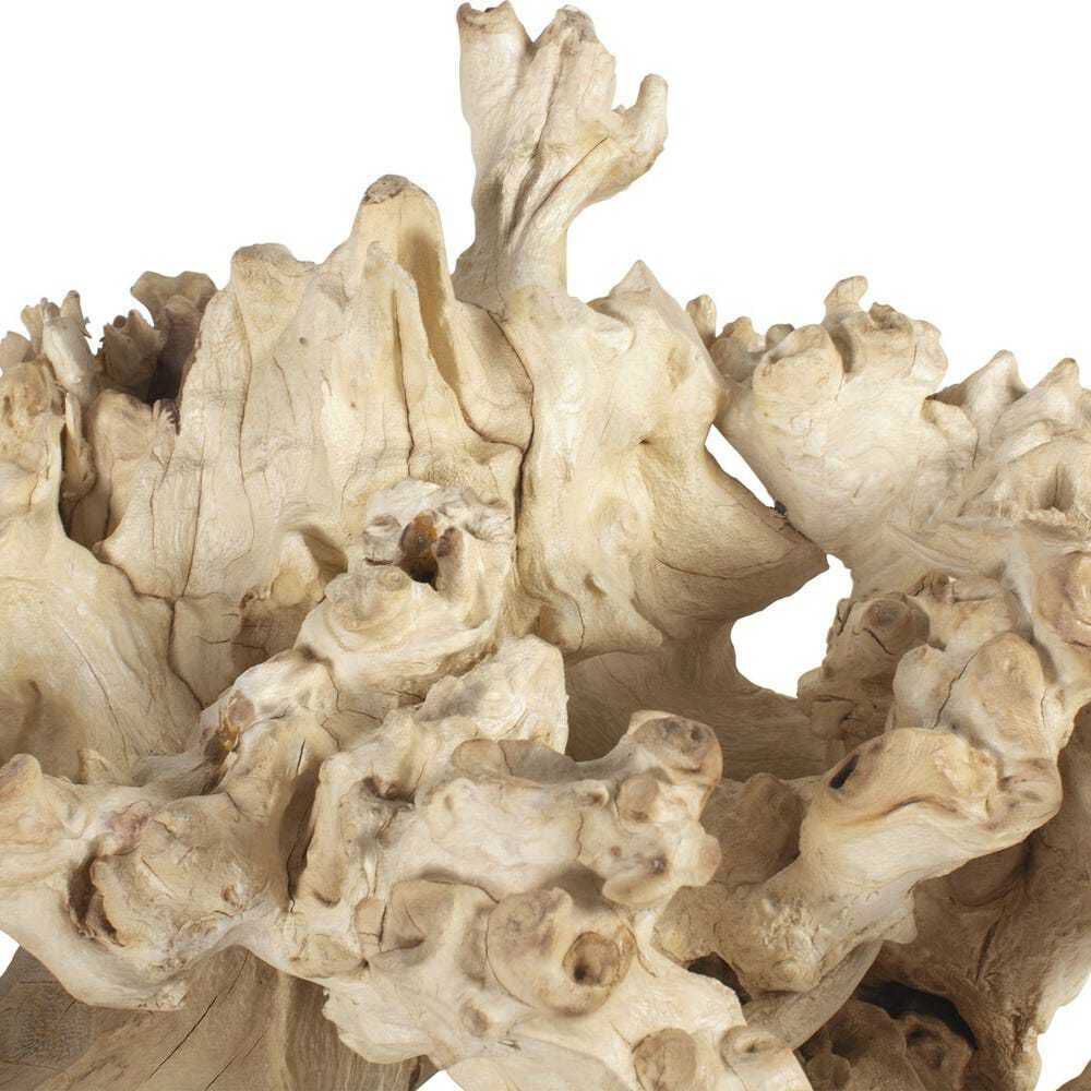 Elemental Root Bleached Residi Wood Outdoor Sculptures, Set of 2