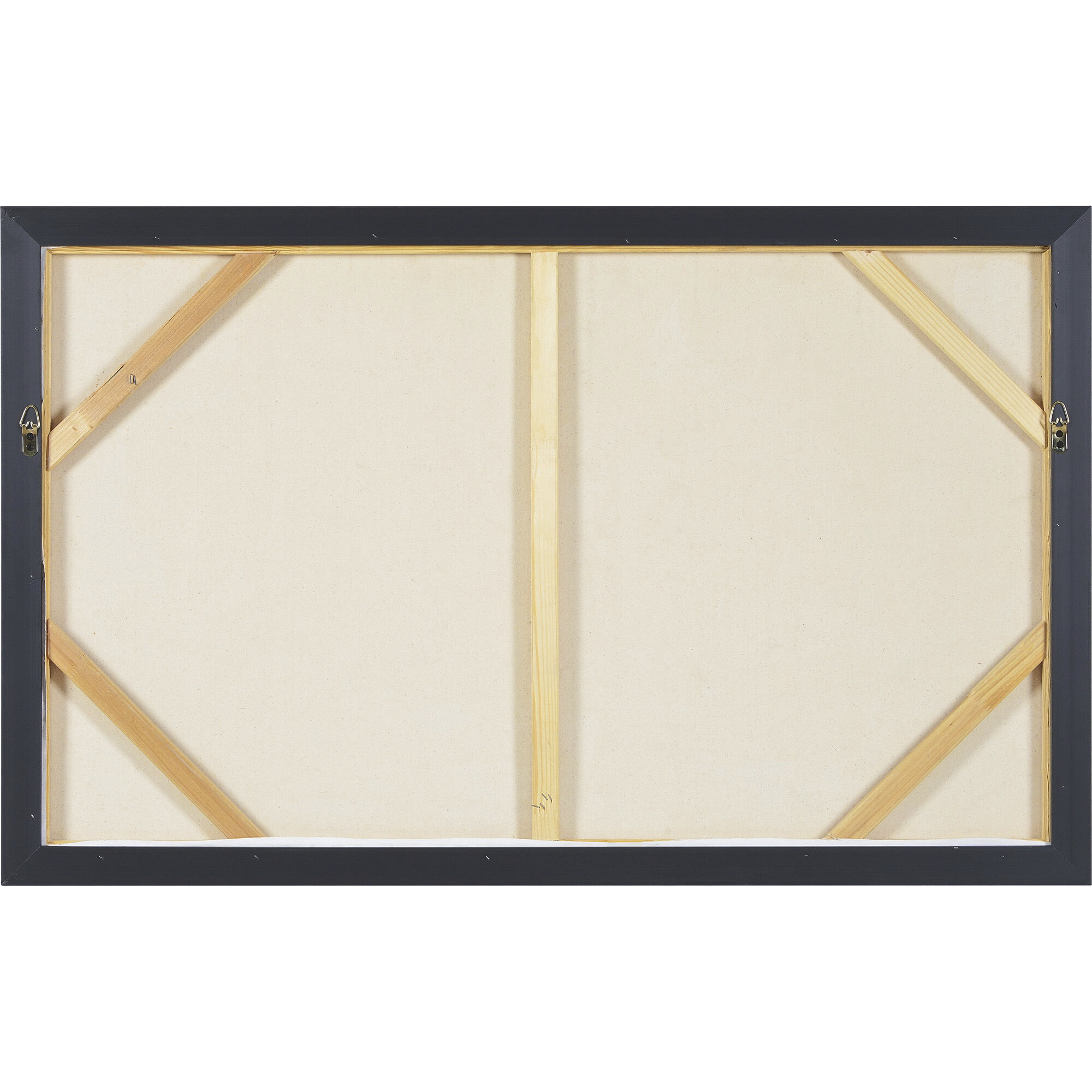 Ascella Multicolor Texture Canvas Art