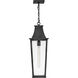 Coastal Elements Georgetown 1 Light 8.5 inch Black Outdoor Hanging Light