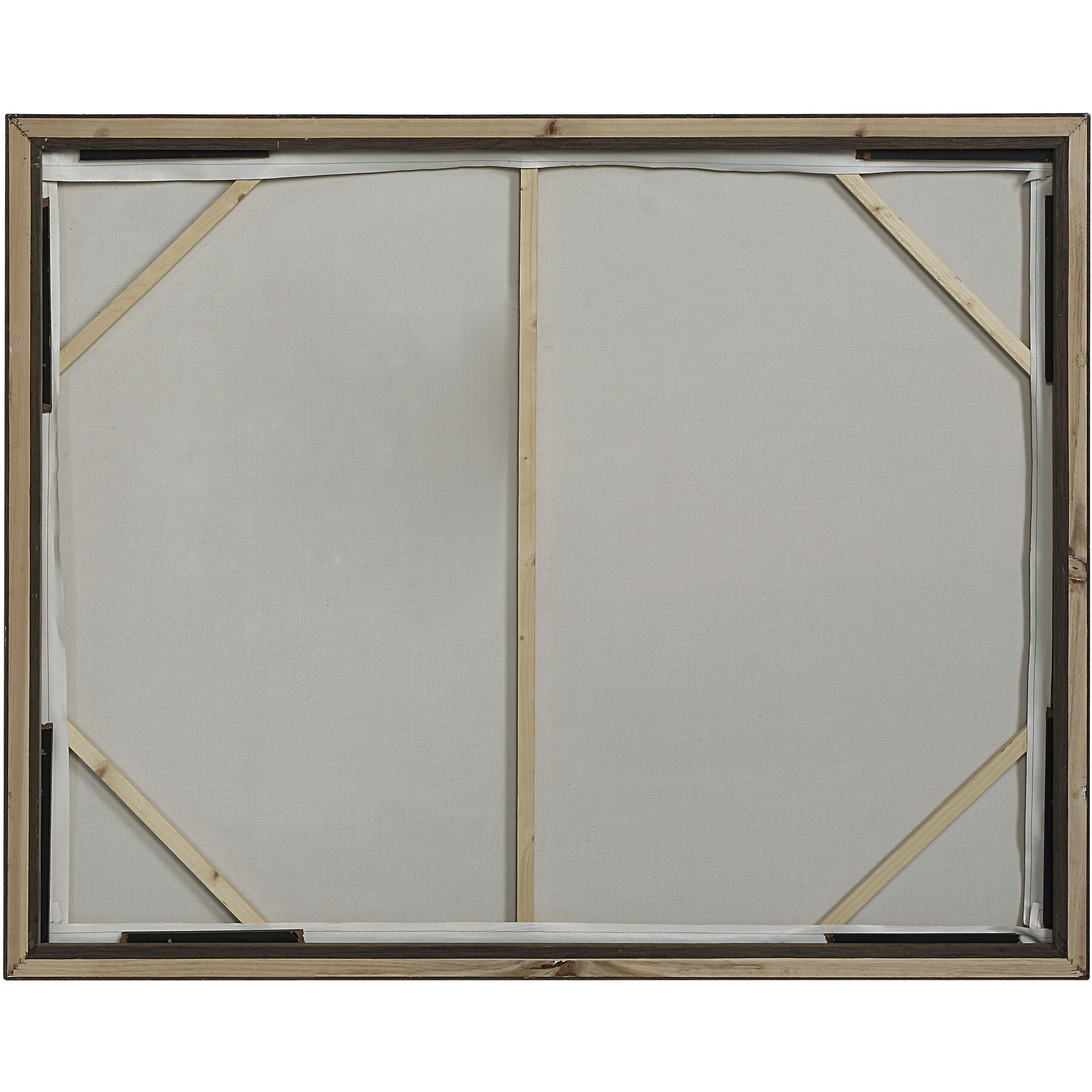 Nature Dark Brown Canvas Art