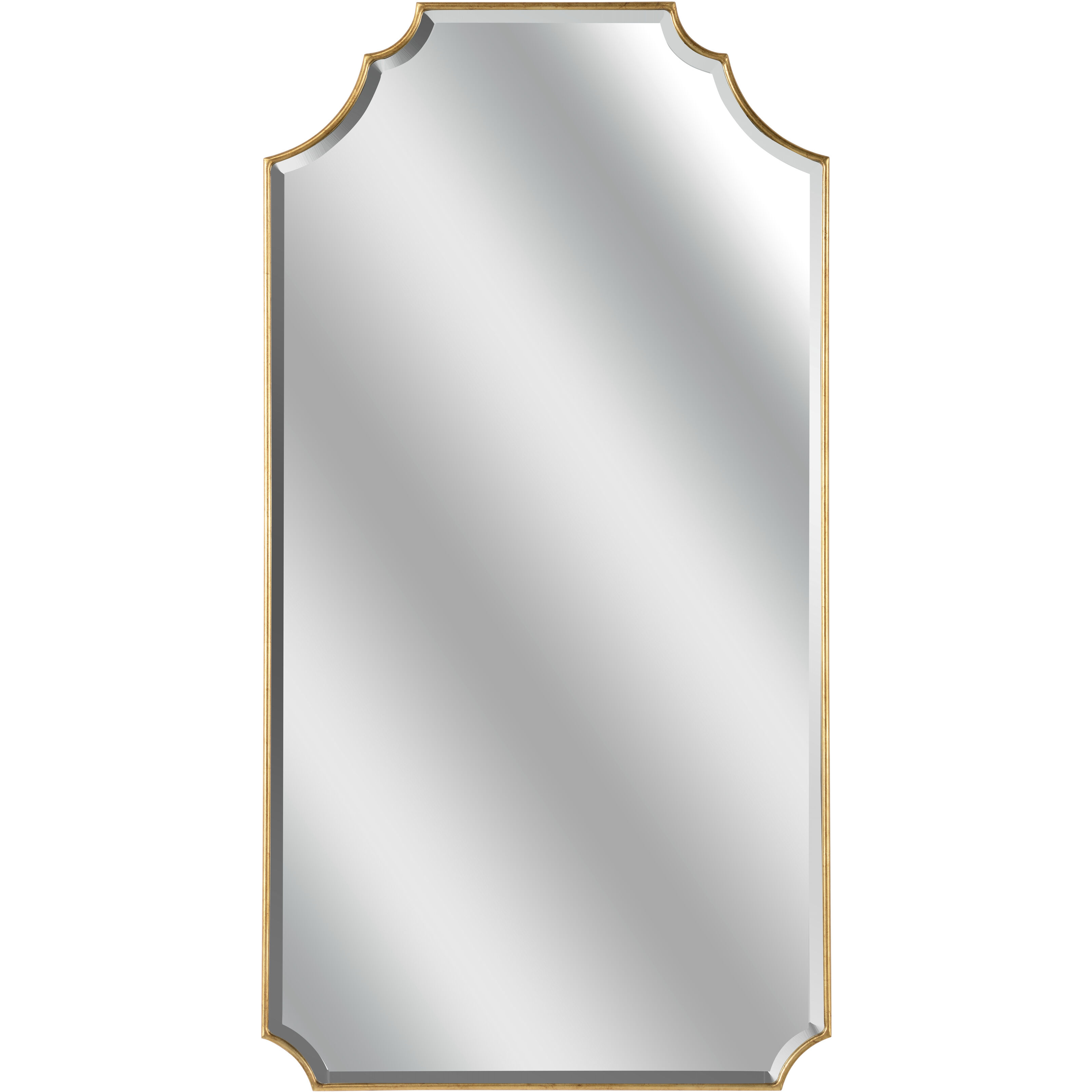 Brighton 42 X 22 inch Gold Mirror