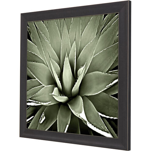 Green Succulent Green and Black and Neutral Framed Art
