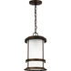 Wilburn 1 Light 8.00 inch Outdoor Pendant/Chandelier
