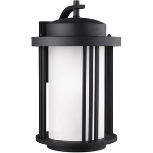 Crowell 1 Light 19.56 inch Black Outdoor Wall Lantern, Large