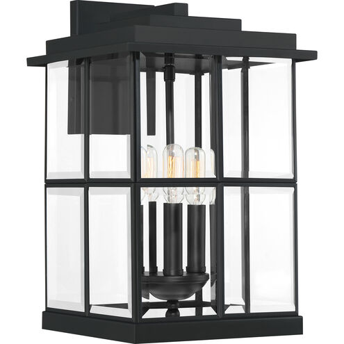 Mulligan Outdoor Wall Lantern