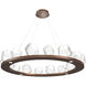 Gem LED 48.7 inch Burnished Bronze Chandelier Ceiling Light, Ring