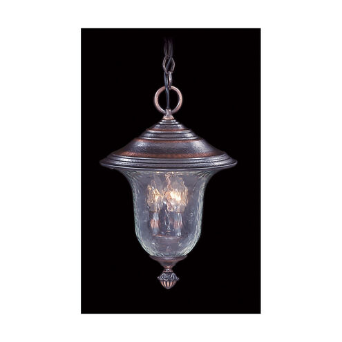 Carcassonne 3 Light 11 inch Iron Exterior Ceiling Mount
