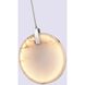 Canada LED 1.5 inch Chrome Pendant Ceiling Light
