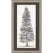 Tree Sketch Brown and Beige and Neutral and Sepia Framed Art
