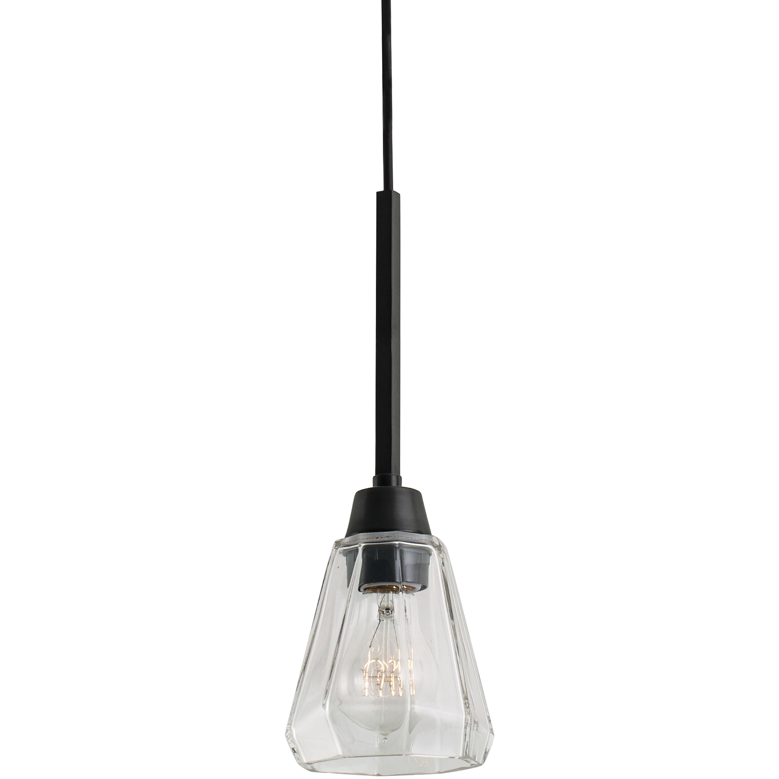 Arctic 1 Light 5 inch Acid Dipped Black Pendant Ceiling Light