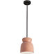 Radiance Collection LED 8 inch Gloss Blush with Brushed Nickel Pendant Ceiling Light