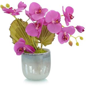 Tropical Fan Orchid Botanical, Florals