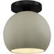 Radiance 1 Light 10 inch Celadon Green Crackle and Matte Black Semi Flush Ceiling Light