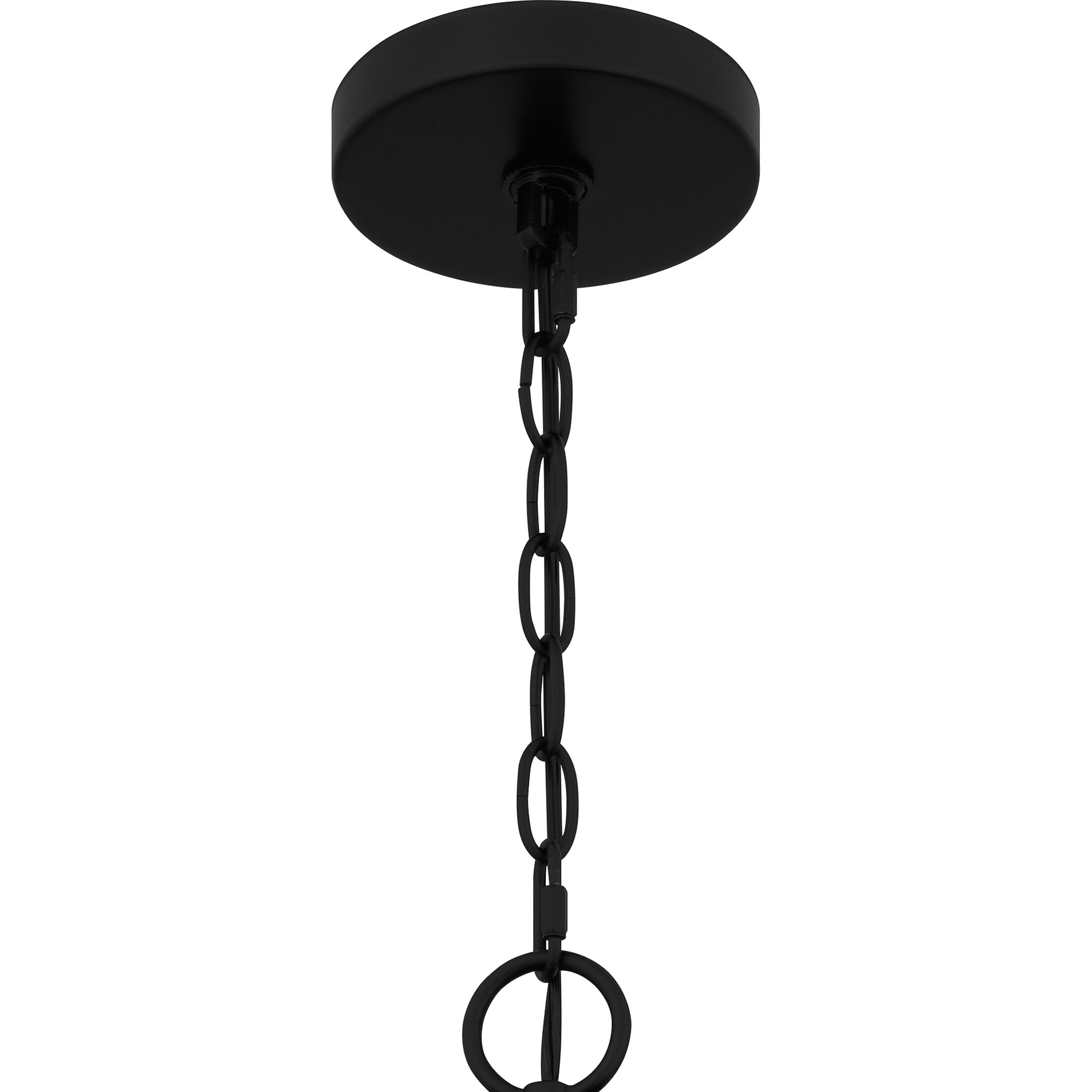 Zyler 4 Light 20 inch Matte Black Pendant Ceiling Light