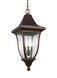 Caius 3 Light 12 inch Patina Bronze Outdoor Pendant